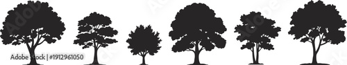 Black tree silhouettes set, isolated deciduous forest trees collection, natural plant shapes for landscape design illustration