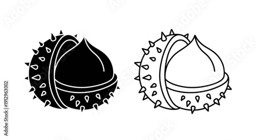 Black and white sea urchin shells illustration vector art, clipart, and graphic Vector