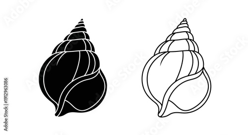 Minimalist seashell artwork with black and white outline design Vector