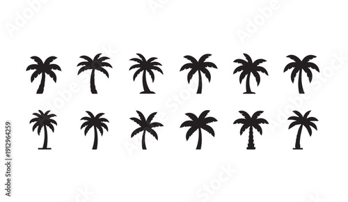 Collection of black palm tree silhouettes on a white background, vector graphics