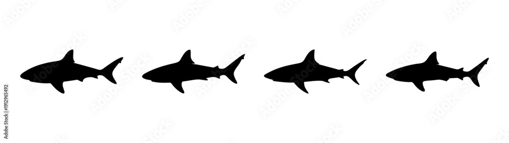 Fototapeta premium Bull Shark Silhouettes in Various Poses, Flat Design vector illustration