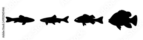 Bass Fish Silhouettes in Various Poses Flat Design Vector Illustration