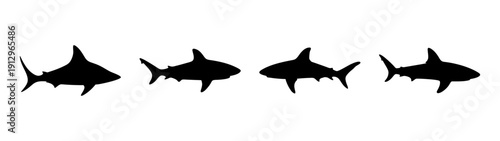Bull Shark Silhouettes Vector Illustration on White Background flat design