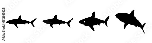 Four great white sharks swimming in ocean waves vector illustration flat design