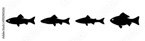 Fish Silhouettes Collection in Flat Design Style vector illustration