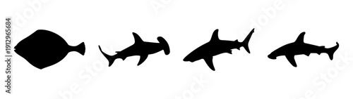Silhouette of Marine Life, Halibut and Sharks in Flat Design Vector Illustration
