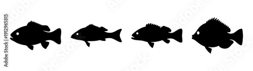 Nile Perch Fish Silhouettes Vector Illustration on White Background flat design