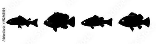 Nile Perch Fish Silhouettes in Flat Design Vector Illustration