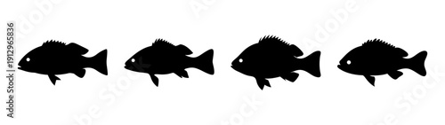 Four black fish swimming in row flat design vector illustration scalable graphic