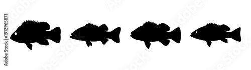 Set of peacock bass fish silhouettes, vector illustration