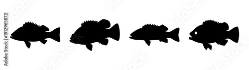 Peacock Bass Fish Silhouettes Set, Vector Illustration
