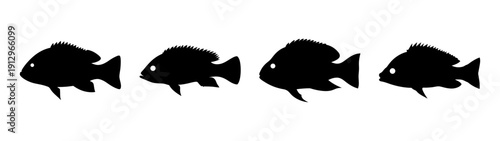 sheepshead fish silhouettes in a row, minimalist flat design vector illustration