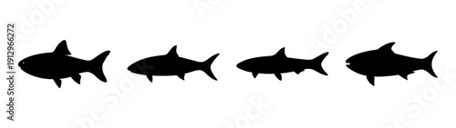 Silhouette of various fish species in flat design vector illustration