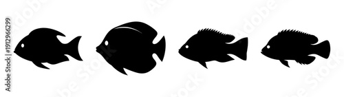 Tilapia Fish Silhouettes Vector Illustration Flat Design