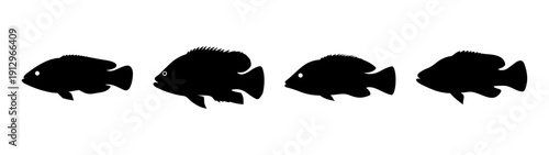 Silhouette of Wrasse Fish in Various Poses, Flat Design Vector Illustration