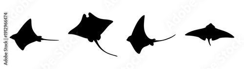 Manta Rays Silhouette Set in Flat Design Style vector illustration