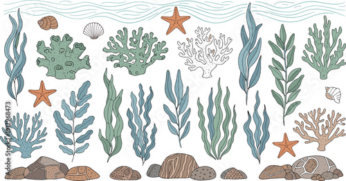 Underwater seaweed and coral illustration set with marine plants, starfish, shells, and ocean elements for aquatic, coastal, and nature design projects
