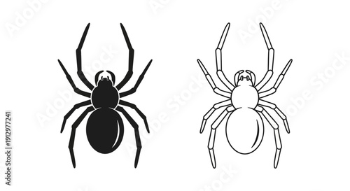 Black and white spider illustration, vector art of arachnids, detailed insect design Vector