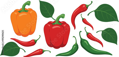 Red and Green Chili with Orange Bell Peppers and Leaves, Isolated Spicy Vegetable Illustration