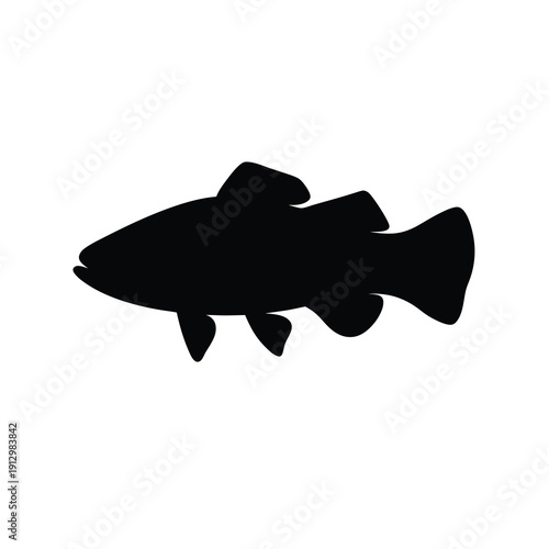 Barramundi fish isolated black silhouette vector illustration flat design scalable art