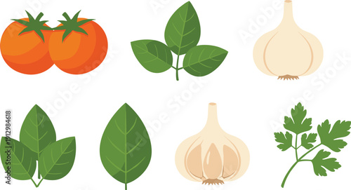 Fresh Cooking Ingredients Vector Set, Tomato Garlic and Green Herbs Collection, Organic Vegetable Seasoning