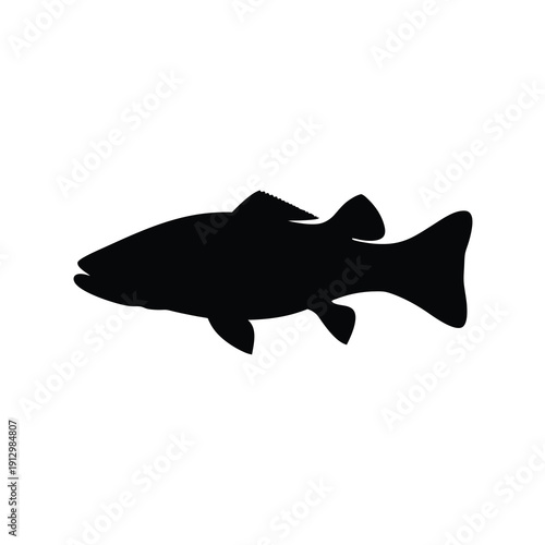 Black silhouette of barramundi fish isolated on white background vector illustration