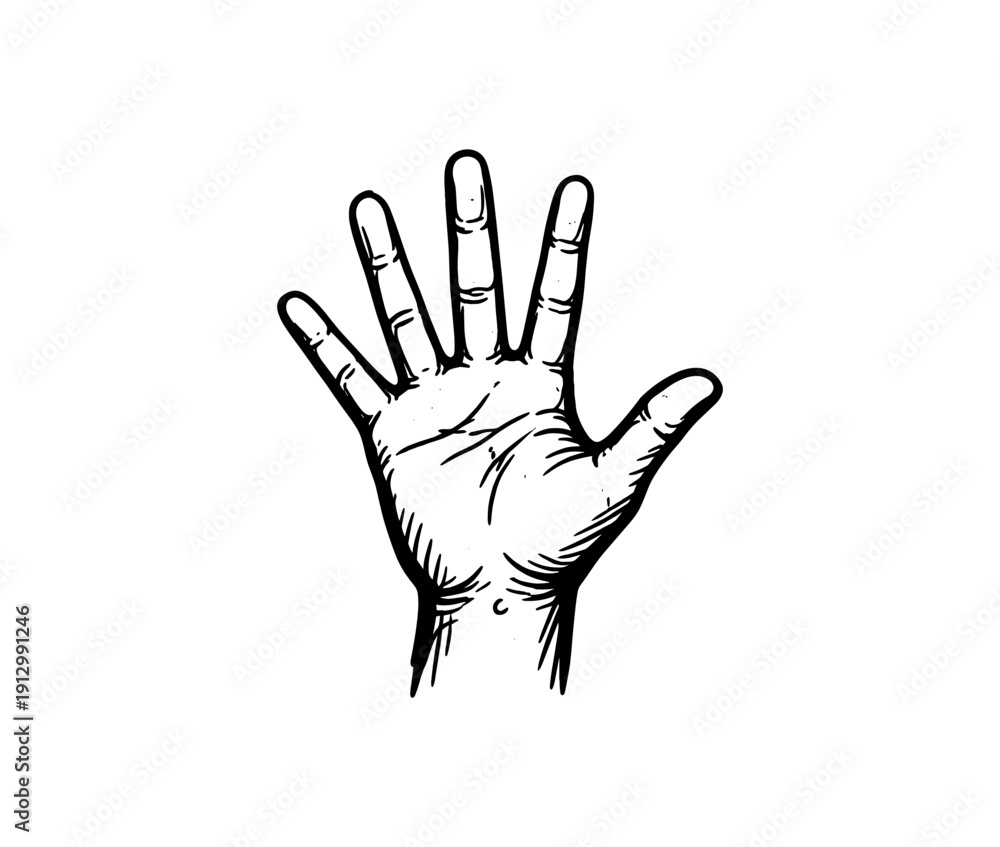 Fototapeta premium Hand drawing with detailed lines on white background for design projects