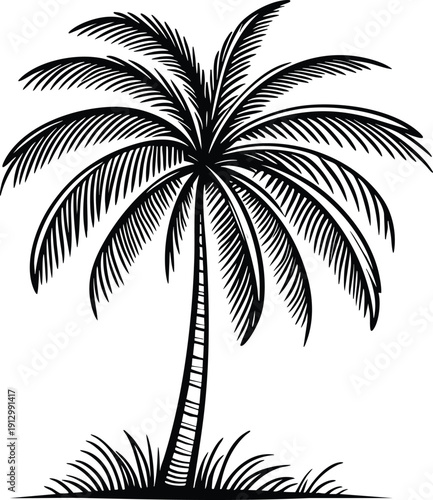 Black and white illustration of a palm tree with grass a tropical symbol for vacation and summer isolated on a white background