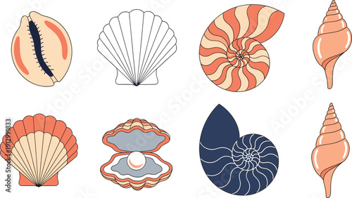 Sea Shell and Marine Life Vector Set, Coastal Summer Collection with Nautilus Scallop and Pearl Oyster