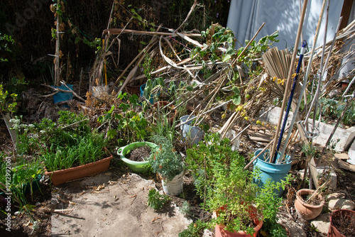Overgrown backyard garden in urban area with improvised vegetable beds, sustainable living and self sufficiency concept
