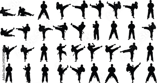 Martial arts karate silhouettes collection isolated on white background, fighting and kicking poses set for combat sport training design