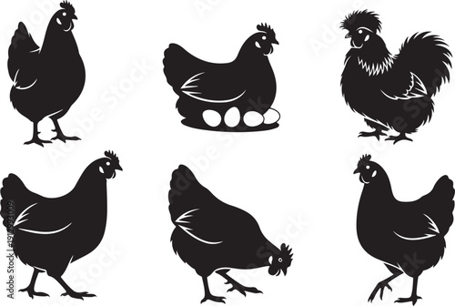 Adobe Illustrator Artwork