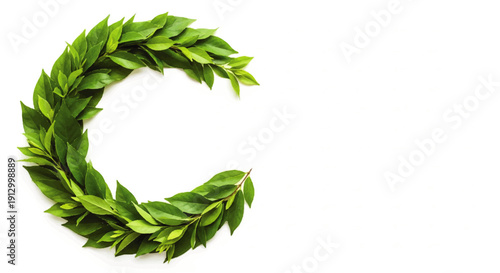 C" Letter formed by Green Leaves on White Background