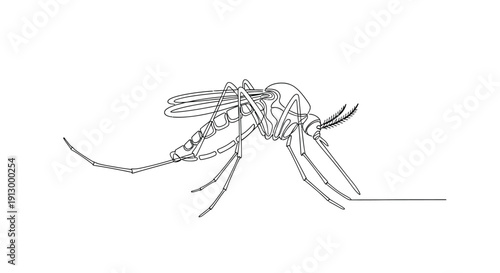 Mosquito, single line drawing