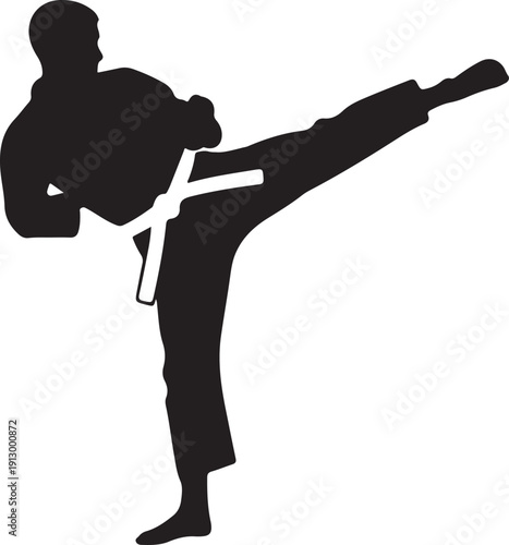 Dynamic black silhouette of a martial artist delivering a powerful side kick with a white belt