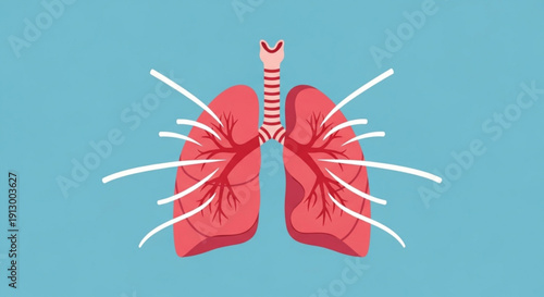 Human lungs with trachea and bronchi on blue background anatomy illustration