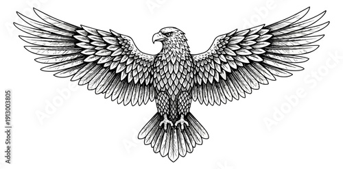 Eagle with spread wings illustration monochrome design