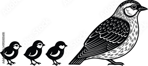 Mother bird and chicks black and white engraving style vector illustration wildlife nature family concept isolated design