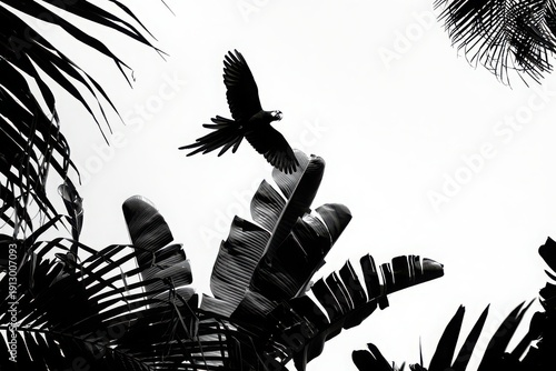 Silhouette of a bird soaring amid tropical foliage in black and white contrast