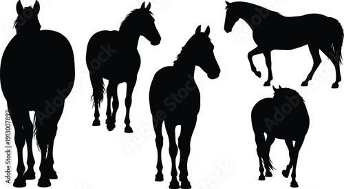 Horse silhouette collection running and standing equine isolated on white background minimalist vector set for farm illustration
