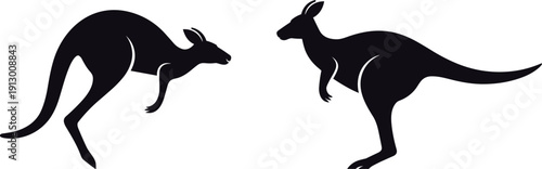 Two kangaroo silhouettes facing each other isolated on white background wildlife animal vector illustration design