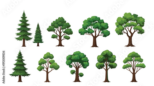 Collection of various types of green trees including pines and deciduous varieties isolated on a clean white background.
