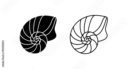 Nautilus shells illustration set, minimalist nautilus shells, black and white Vector