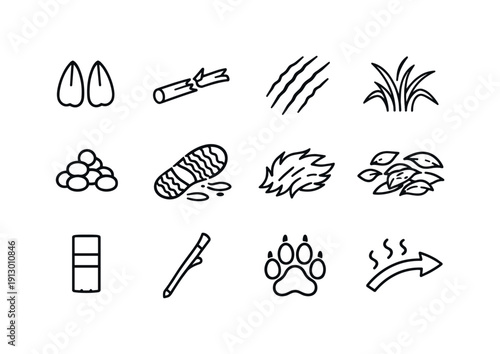 Forest tracking signs. Line icon set of Forest tracking signs: deer tracks, broken twig, claw marks, bent grass, fresh droppings, footprint