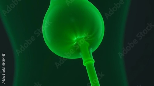 Abstract Representation of Biological Structure with Green Luminescent Spherical Form and Connecting Tube Against Dark Background Detailed Scientific Visualization