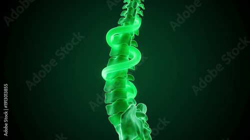 Glowing Green Human Spine With A Snake Wrapped Around Vertebrae Against A Dark Green Gradient Background With Subtle Lighting