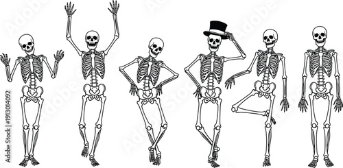 Skeleton silhouette vector set featuring dancing human skeleton characters Halloween illustration isolated black white collection for spooky design mascot logo