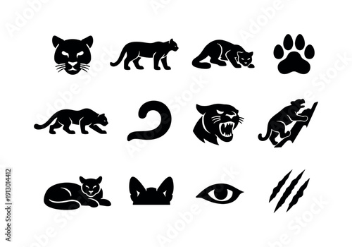 Cougar. Solid icon set of Cougar: cougar face, full body cougar, mountain lion pose, cougar paw, stalking cougar, tail curve, growling head,