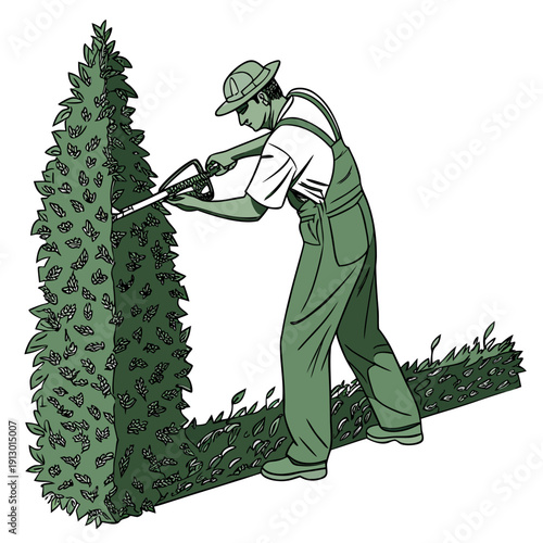 Landscaper Shaping Hedge into Clean Form White Background