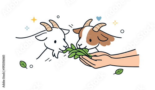 Goat feeding moment. Goats gently reaching for